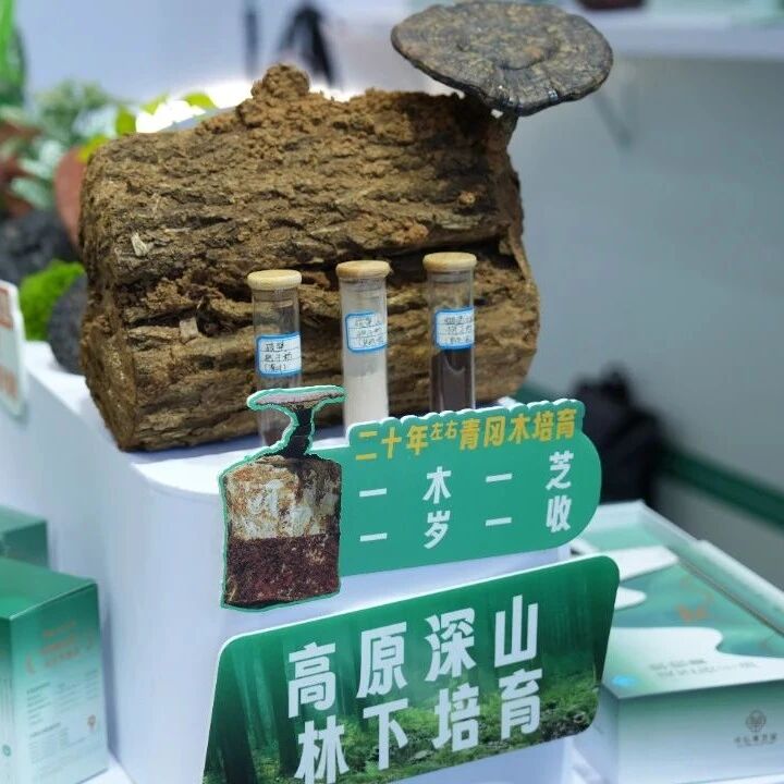 单品销售破亿！不是人人都能抄得会的华弘草芝堂3个“反常识”操作全公开！