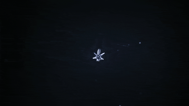 雪花结晶从内核向外扩散生长品牌套圈类比动图