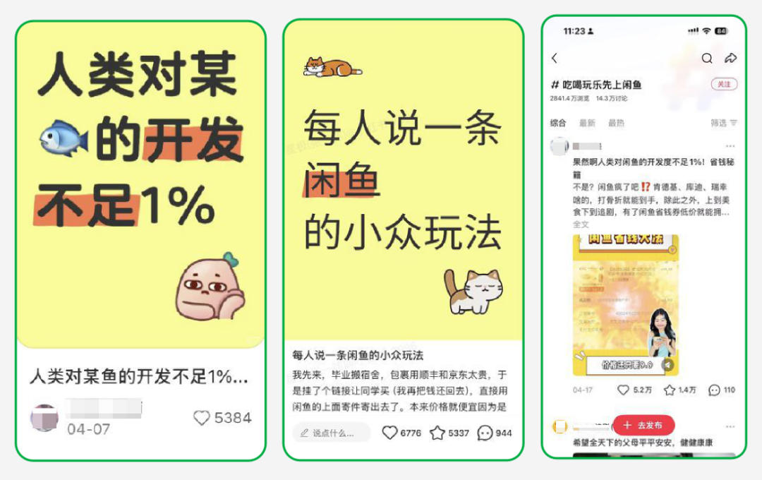 闲鱼小红书种草用增案例效果数据