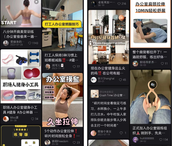 小红书轻松健体派人群特征分析:追求低成本高效健康管理的都市运动人群