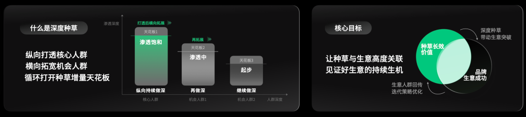 深度种草纵向打透横向拓展人群渗透天花板示意图